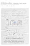 Nematode file-library of the Marine Biology Section (Ghent University, Belgium)