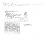 Nematode file-library of the Marine Biology Section (Ghent University, Belgium)