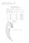 Nematode file-library of the Marine Biology Section (Ghent University, Belgium)