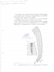 Nematode file-library of the Marine Biology Section (Ghent University, Belgium)