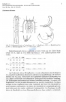 Nematode file-library of the Marine Biology Section (Ghent University, Belgium)