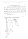 Nematode file-library of the Marine Biology Section (Ghent University, Belgium)