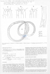 Nematode file-library of the Marine Biology Section (Ghent University, Belgium)