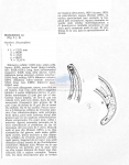 Nematode file-library of the Marine Biology Section (Ghent University, Belgium)