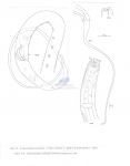 Nematode file-library of the Marine Biology Section (Ghent University, Belgium)