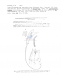 Nematode file-library of the Marine Biology Section (Ghent University, Belgium)