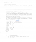 Nematode file-library of the Marine Biology Section (Ghent University, Belgium)