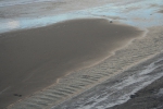 Waterribbels