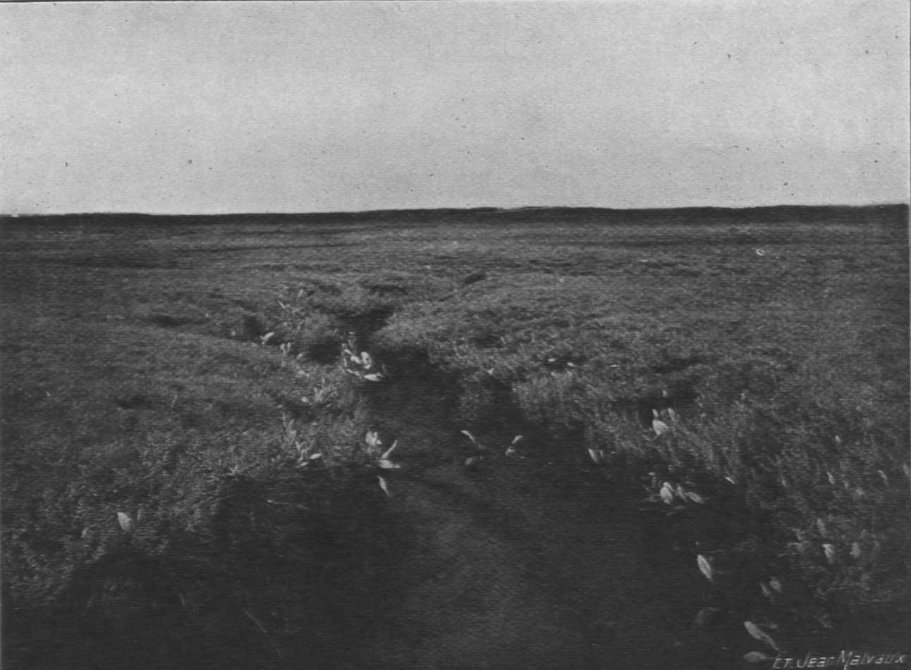 Massart (1913, foto 12)