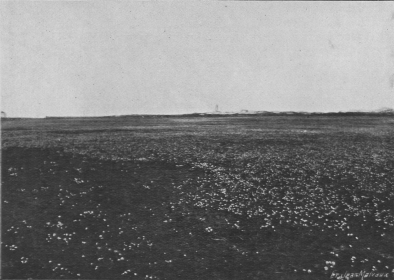 Massart (1913, foto 14)