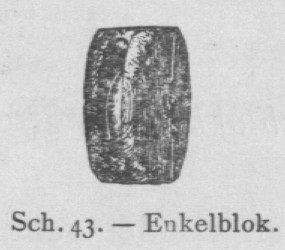 Bly (1902, fig. 43)