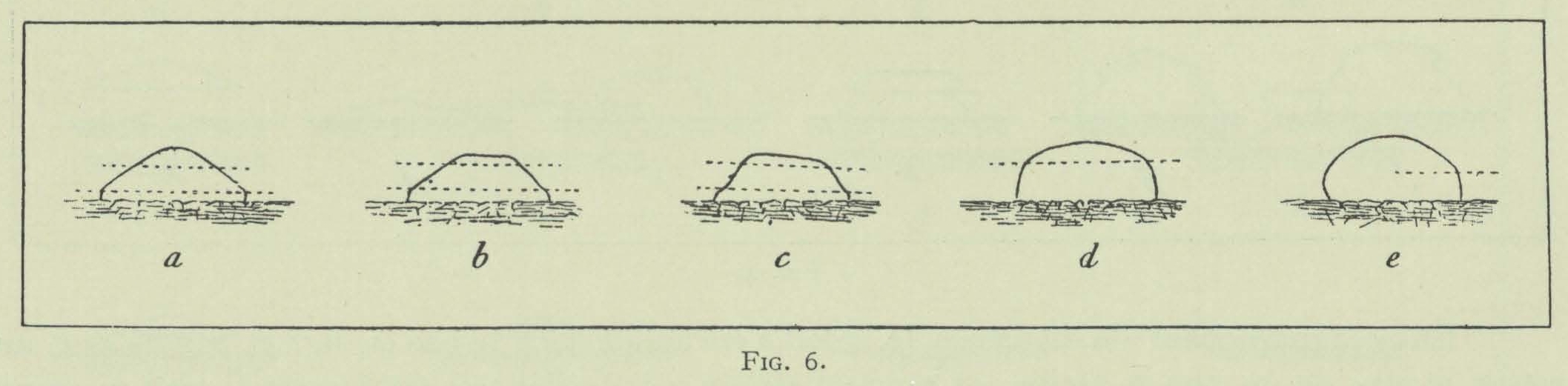 Arctowski (1902, fig. 06)