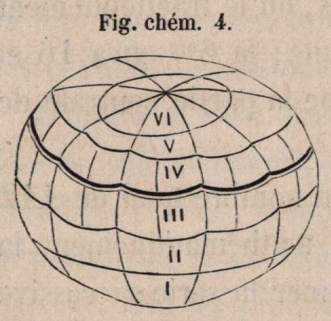 Van Beneden & Bessels (1868, fig. chém. 4)