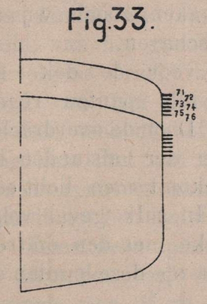 De Borger (1901, fig. 33)