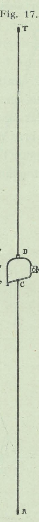 Gilson (1911, fig. 17)