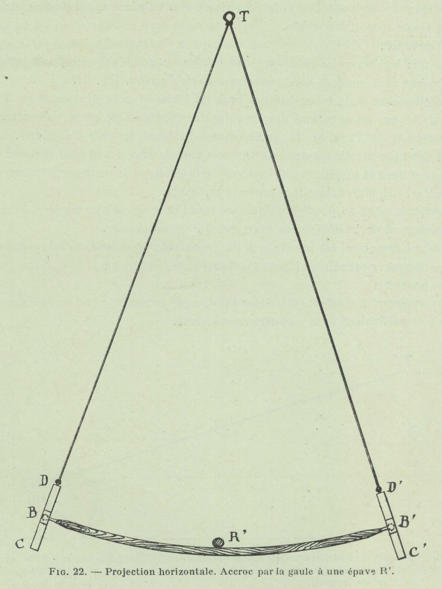 Gilson (1911, fig. 22)