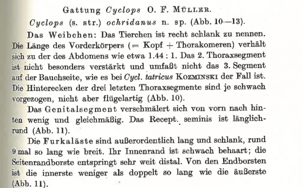 from Brehm 1932 from Brehm 1932