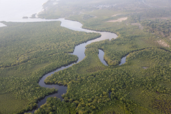 22.02.2014 Gazi Aerial photography