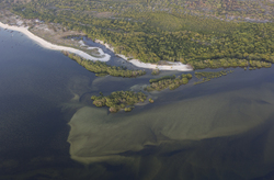 22.02.2014 Gazi Aerial photography