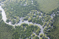 22.02.2014 Gazi Aerial photography