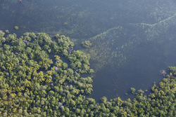 22.02.2014 Gazi Aerial photography