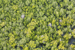 22.02.2014 Gazi Aerial photography