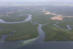 22.02.2014 Gazi Aerial photography