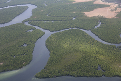 22.02.2014 Gazi Aerial photography