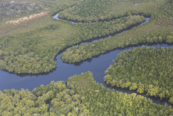 22.02.2014 Gazi Aerial photography