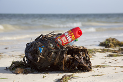 Rubbish on Mombasa Beach