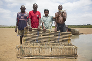 Aquaculture - mud crab, author: Decleer, Misjel