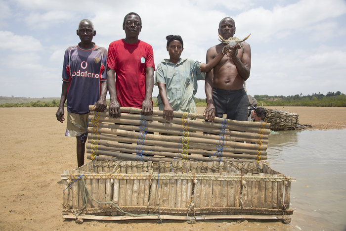 Aquaculture - mud crab