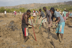 Aquaculture - pond digging
