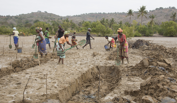 Aquaculture - pond digging