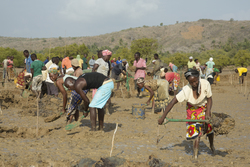 Aquaculture - pond digging