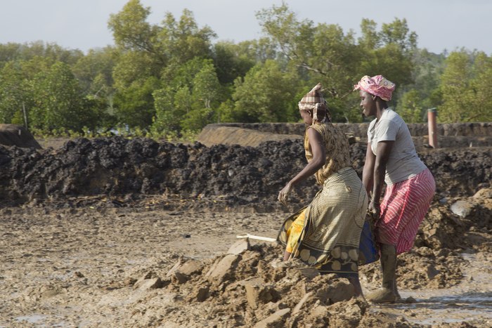 Aquaculture - pond digging