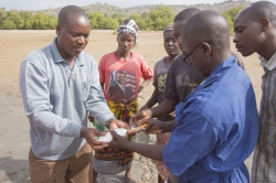 Aquaculture - milkfish