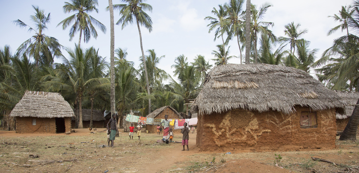 Village - Kibokoni