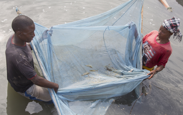 Aquaculture - prawns