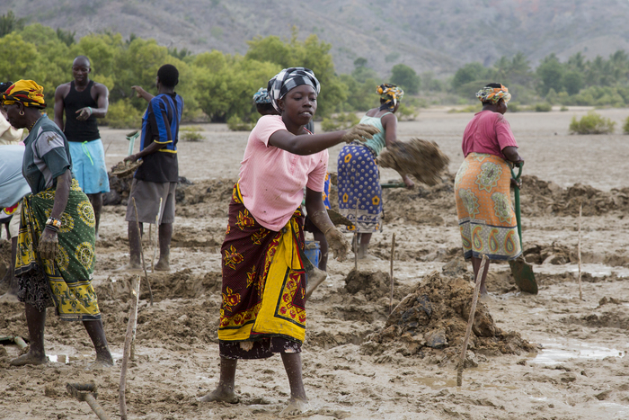 Aquaculture - pond digging