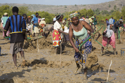 Aquaculture - pond digging