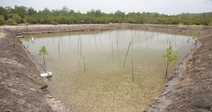 Aquaculture - milkfish