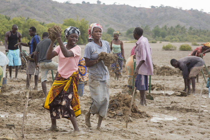 Aquaculture - pond digging
