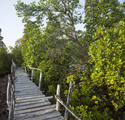 Gazi, Kenya (9 February 2014).
