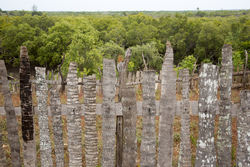 Gazi, Kenya (7 February 2014).