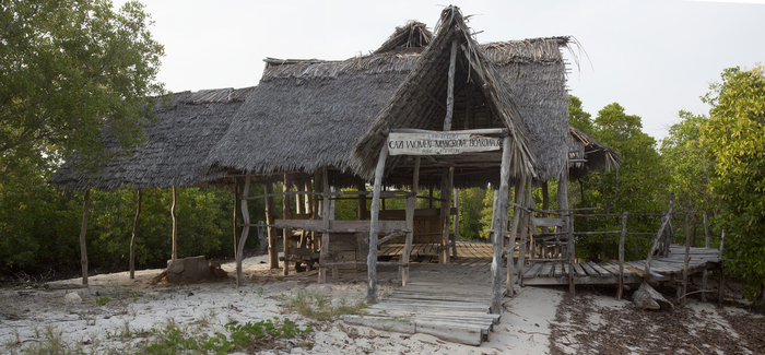 Mangrove boardwalk