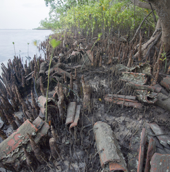 Gazi, Kenya (9 February 2014).