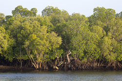 Gazi, Kenya (9 February 2014).
