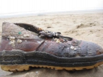 Markante foto : gevonden schoen met zeepokken tijdens Lenteprikkel in Koksijde op 05/03/2005