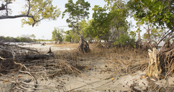 Gazi, Kenya (8 February 2014).
